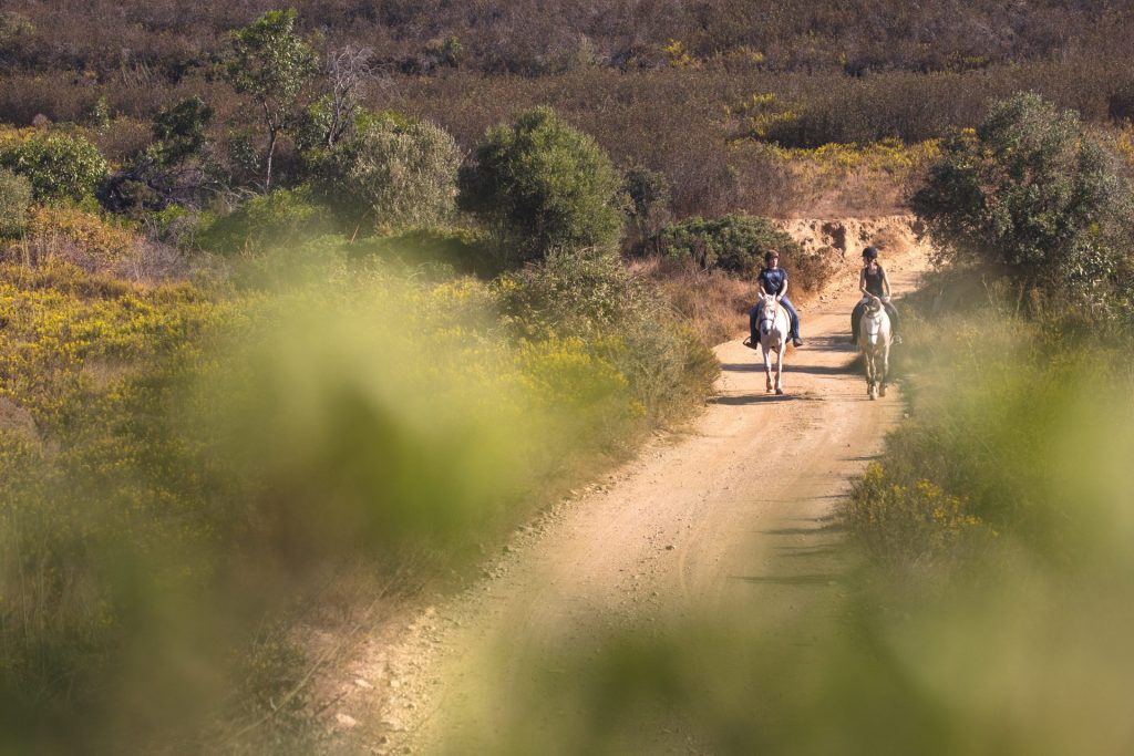 horse riding algarve nature reserve